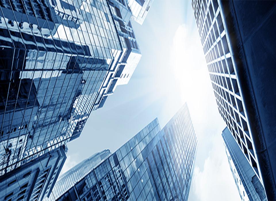Company Profile